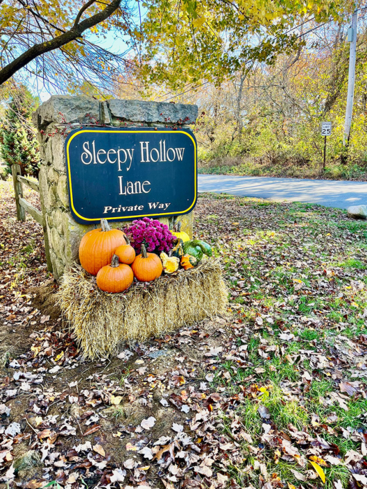 sh-what-to-do-inset-02